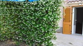 Room in Nerezine with balcony, Wifi 4827-5 - Nerezine - 2