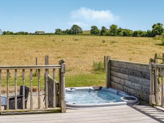 Buckland Lodge - Pentridge - 7