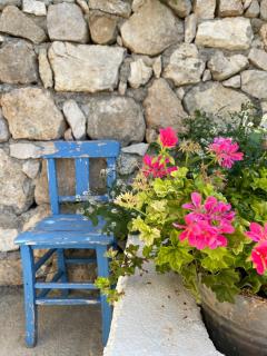 Suleymans Garden - Faralya - 5