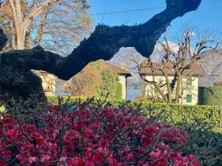 Villa Magnolia - Lake Como - 8