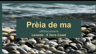 Preia de ma - Levanto - 0