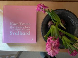 Villa Lofoten - Edvardbua - 5