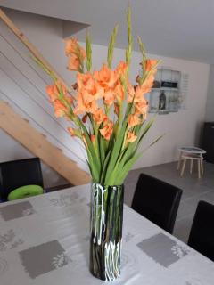 La maison d'Emmanon - 1