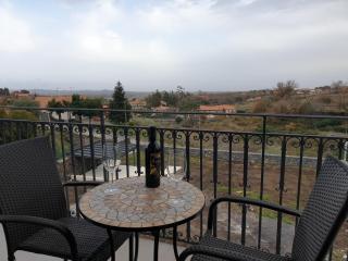 Villa Rita Pool & Spa - Mascalucia - 1