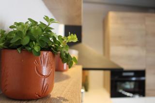 XIMENETXE Vivienda Turística - 9