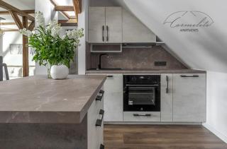 Spacious sky Carmelite apartment - 3