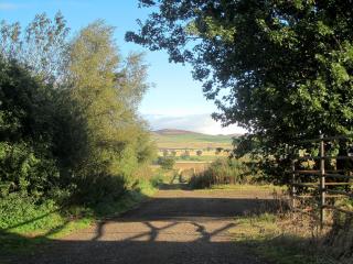 The Old Stables - Kirkton of Tealing - 9