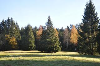 Apartmány IMLADRIS, Hotel u pralesa - Benešov nad Černou - 5