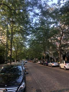 Hegelstraße 19, Prachtstraße der Gründerzeit - 3