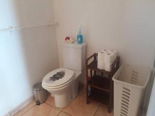 Belle vue côté mer sur l'arrivé des paquebots, - 1