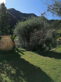 Casa Andreina - Salto - 2