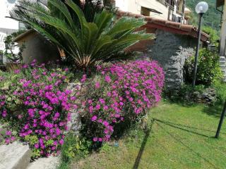 Casa Andreina - Salto - 1