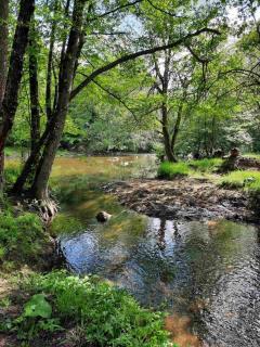 Guest House By The River - 1