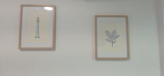 Geranio Chipionahome - Chipiona - 5