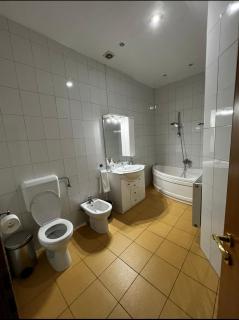 Apartament central Timisoara - Timişoara - 3