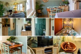 SUITE JUNGLE - JARDIN, NETFLIX et PARKING - Le Manoir aux Pommes - Orbec-en-Auge - 8