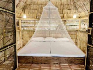 Tree House by the Ocean ( for 2 guests) - 6