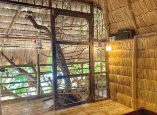 Tree House by the Ocean ( for 2 guests) - 4