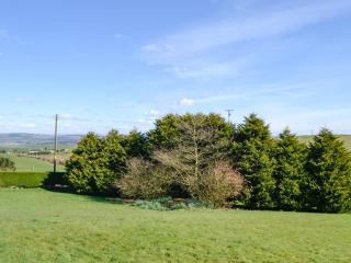 Cairncroft Cottage - Colfin - 3