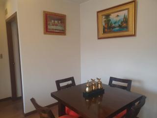 Nico&Style Apartment VIP - La Paz - 7