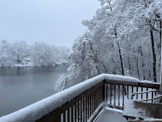 Large family house on the lake - Hewitt - 8
