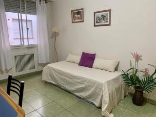 Las violetas - Buenos Aires - 1