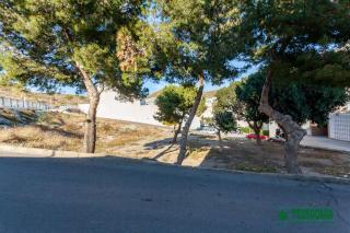 Apartamento completo El Roble - 8