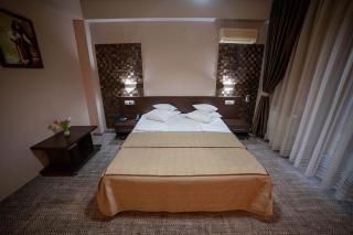 Hotel Secret Garden - Baia-Sprie - 3