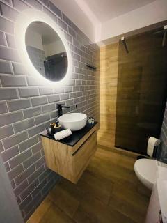 Sara Onestilor Prima apart - Oradea - 9
