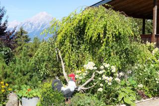 Ferienwohnung Weitblick - Pill - 2