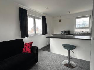 Spacious,1 bed, balcony, Southwark Central London - Londra - 5
