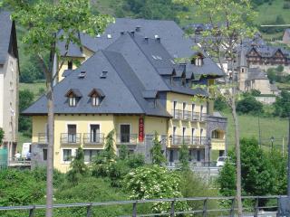 Hotel Spa Acevi Val d’Aran - Vielha - 9