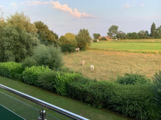 Meer mit Blick, Dat witte Hus - Rettin - 1