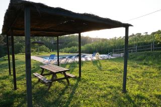 Masia Rural Cal Belles Mas - 4