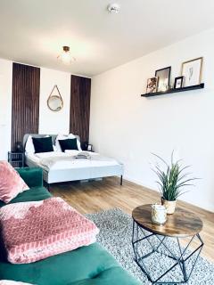 Gemütliches Studio - Elias- mit Küche, WLAN, Smart-TV & Panoramablick in Citynähe - Erfurt - 9