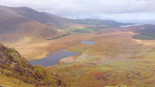 Teach Eoin - Dingle - 7
