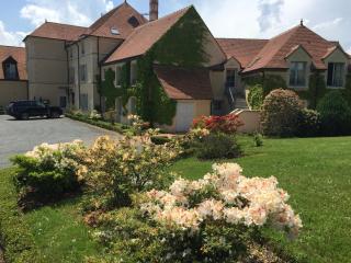Hôtel Domaine de l'Orangerie - Bonnat - 8