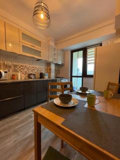 Apartment near Palas Mall - Iaşi - 6