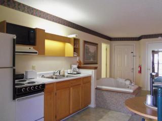 Four Seasons Inn - Maggie Valley - 3