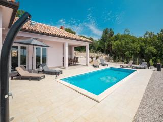 Villa Tomicich - Labin - 3