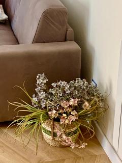 Little House 5 Terre - 4