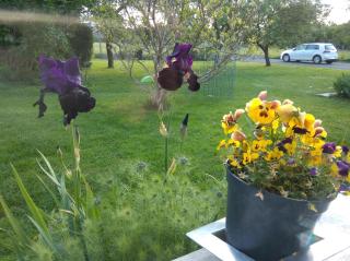 CHAMBRE D'HOTE A 15 MIN DU CIRCUIT DES 24H DU MANS - 3