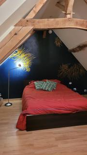 CHAMBRE D'HOTE A 15 MIN DU CIRCUIT DES 24H DU MANS - Saint Pavace - 2