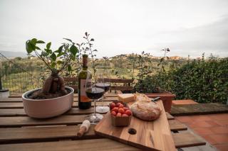 Lemon Garden House - San Miniato Basso - 6