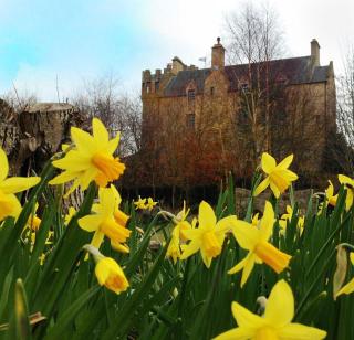 The Manor at Plane Castle - 0