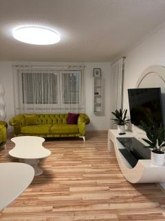 O&V Apartment - Waldshut-Tiengen - 9