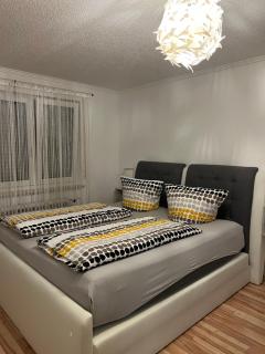 O&V Apartment - Waldshut-Tiengen - 5