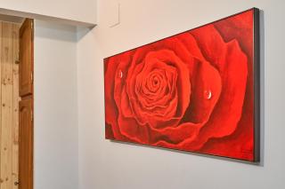 Apartment 250 M from the beach - Almuñécar - 3