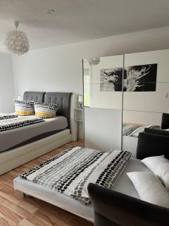 O&V Apartment - Waldshut-Tiengen - 2