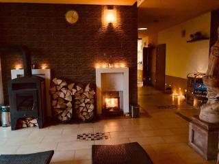 Apartmány, Penzion, Wellness U zlaté rybky - Vyškov - 4